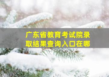 广东省教育考试院录取结果查询入口在哪