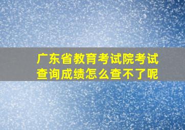 广东省教育考试院考试查询成绩怎么查不了呢