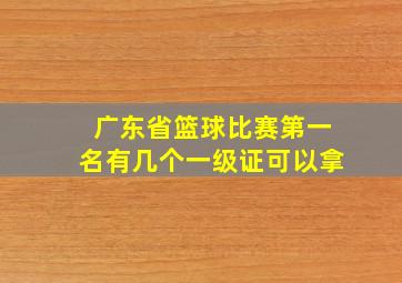 广东省篮球比赛第一名有几个一级证可以拿