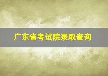 广东省考试院录取查询