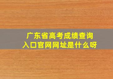 广东省高考成绩查询入口官网网址是什么呀