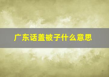 广东话盖被子什么意思