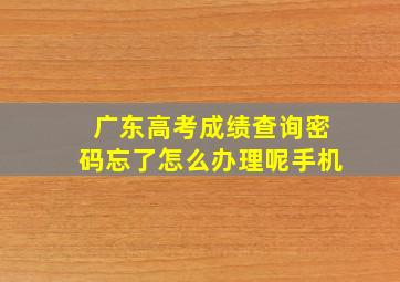 广东高考成绩查询密码忘了怎么办理呢手机