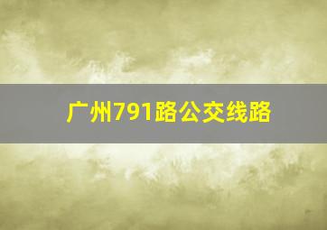 广州791路公交线路