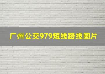 广州公交979短线路线图片