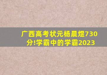 广西高考状元杨晨煜730分!学霸中的学霸2023