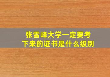 张雪峰大学一定要考下来的证书是什么级别