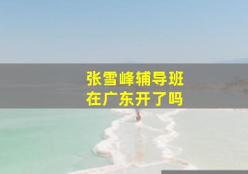 张雪峰辅导班在广东开了吗