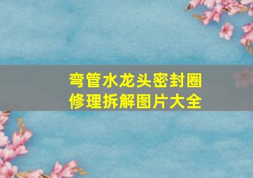 弯管水龙头密封圈修理拆解图片大全