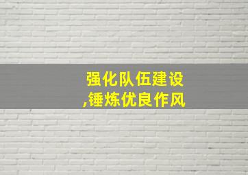 强化队伍建设,锤炼优良作风