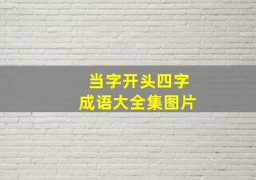 当字开头四字成语大全集图片