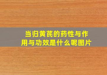 当归黄芪的药性与作用与功效是什么呢图片