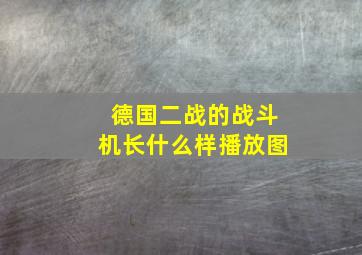 德国二战的战斗机长什么样播放图