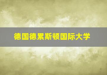 德国德累斯顿国际大学