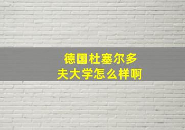 德国杜塞尔多夫大学怎么样啊