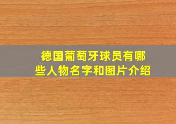 德国葡萄牙球员有哪些人物名字和图片介绍