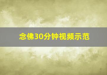 念佛30分钟视频示范