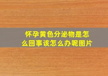 怀孕黄色分泌物是怎么回事该怎么办呢图片