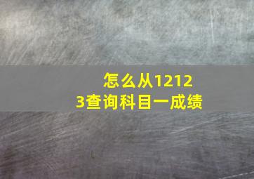 怎么从12123查询科目一成绩