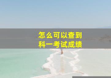 怎么可以查到科一考试成绩