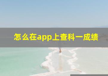 怎么在app上查科一成绩