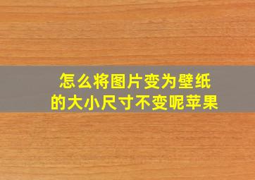 怎么将图片变为壁纸的大小尺寸不变呢苹果