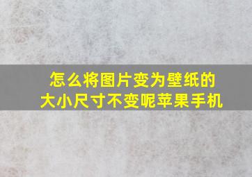 怎么将图片变为壁纸的大小尺寸不变呢苹果手机