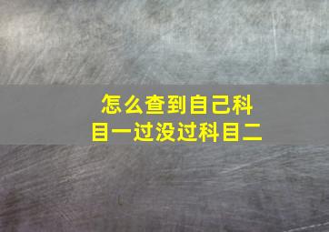 怎么查到自己科目一过没过科目二