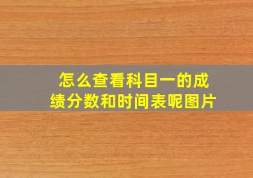 怎么查看科目一的成绩分数和时间表呢图片