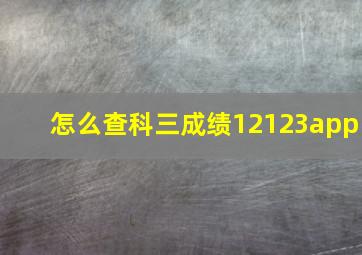 怎么查科三成绩12123app