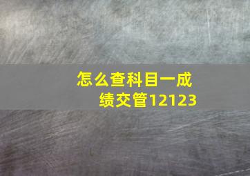 怎么查科目一成绩交管12123