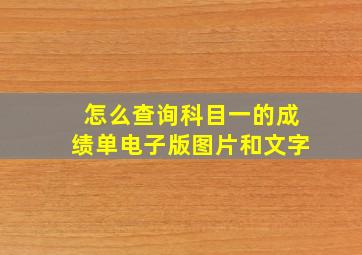 怎么查询科目一的成绩单电子版图片和文字