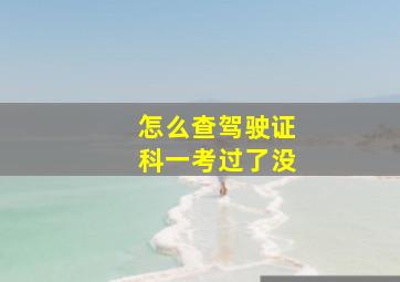 怎么查驾驶证科一考过了没