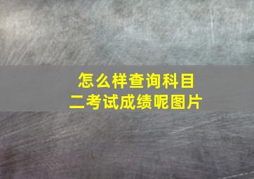 怎么样查询科目二考试成绩呢图片