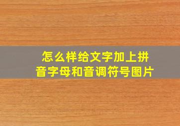 怎么样给文字加上拼音字母和音调符号图片