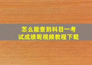 怎么能查到科目一考试成绩呢视频教程下载