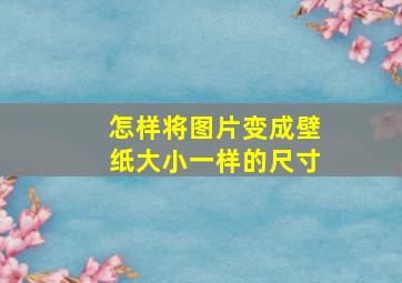 怎样将图片变成壁纸大小一样的尺寸