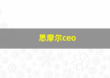 思摩尔ceo