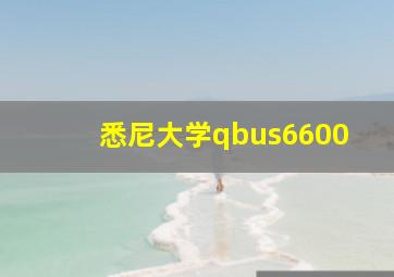 悉尼大学qbus6600