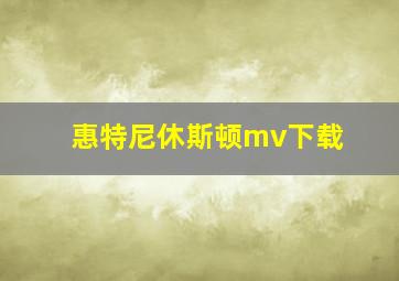 惠特尼休斯顿mv下载