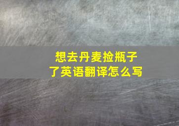 想去丹麦捡瓶子了英语翻译怎么写