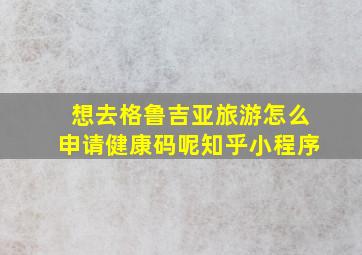 想去格鲁吉亚旅游怎么申请健康码呢知乎小程序