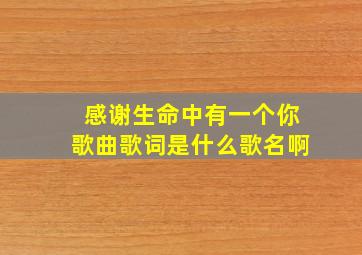 感谢生命中有一个你歌曲歌词是什么歌名啊