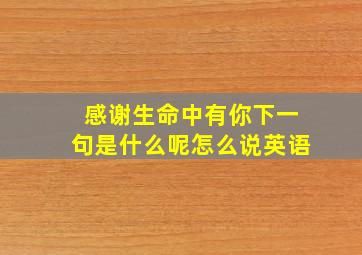 感谢生命中有你下一句是什么呢怎么说英语