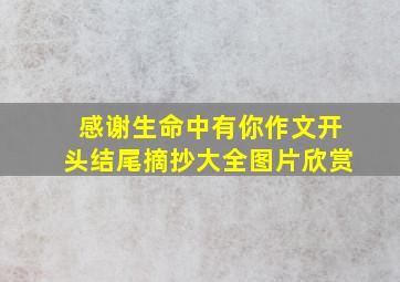 感谢生命中有你作文开头结尾摘抄大全图片欣赏