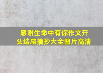 感谢生命中有你作文开头结尾摘抄大全图片高清