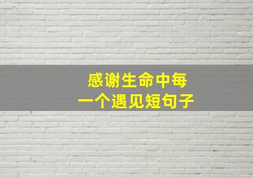 感谢生命中每一个遇见短句子