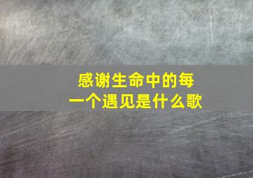 感谢生命中的每一个遇见是什么歌