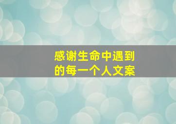 感谢生命中遇到的每一个人文案