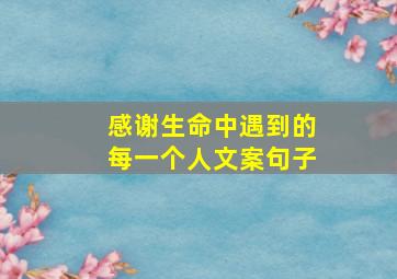 感谢生命中遇到的每一个人文案句子